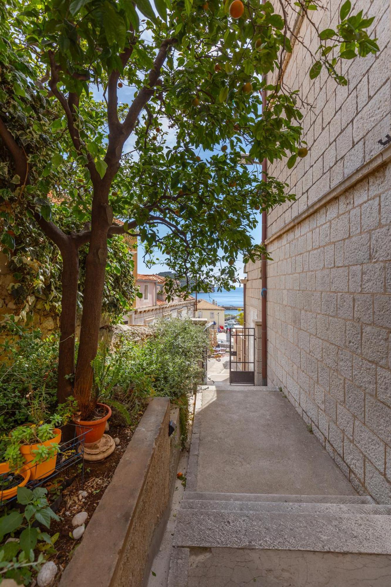 Ragusina Luxury Apartments Dubrovnik Exterior foto